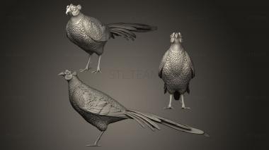 3D model pheasant (STL)